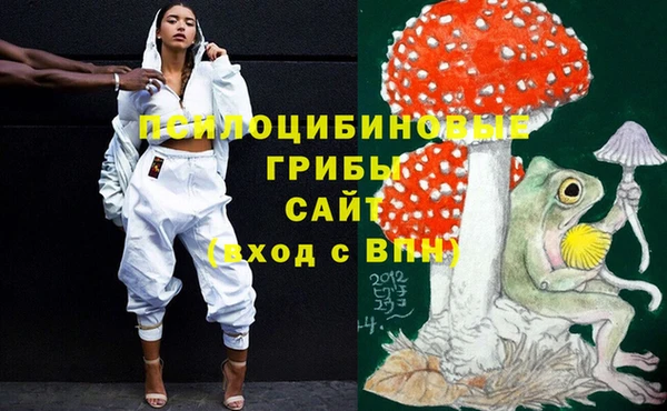спиды Бронницы